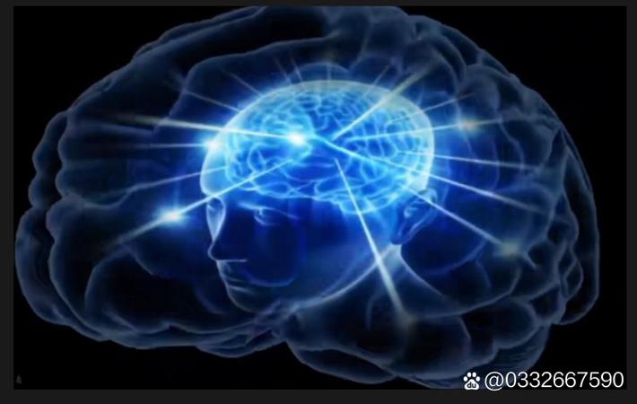 独家！某顶流明星深夜现身机场，疑似秘密恋情曝光